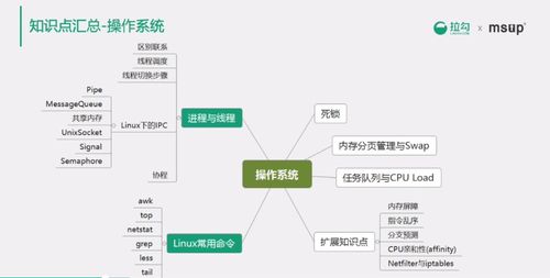 計算機(jī)網(wǎng)絡(luò)與操作系統(tǒng)理論在網(wǎng)絡(luò)系統(tǒng)集成中的應(yīng)用