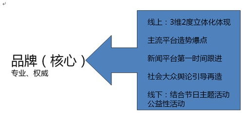 華夏品牌整合營銷運營戰(zhàn)略規(guī)劃與項目營銷策劃方案